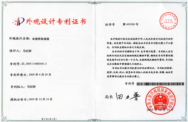 Appearance patent cover